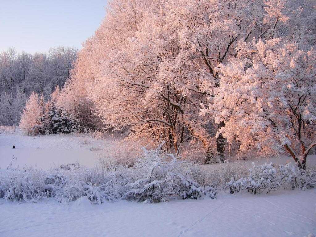 Bed and Breakfast Heddahgaarden Bredal Екстер'єр фото